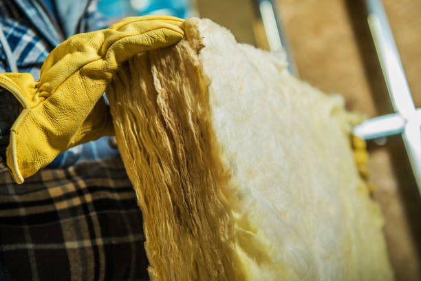 Best Geographic-Specific Insulation Services in Trabuco Nyon, CA